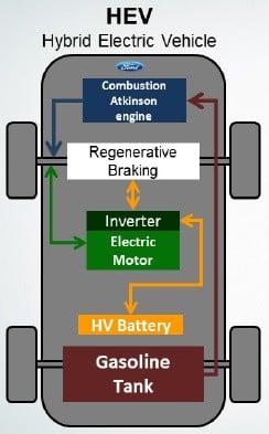 hev1