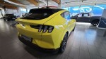 IMG-20250820-WA0007