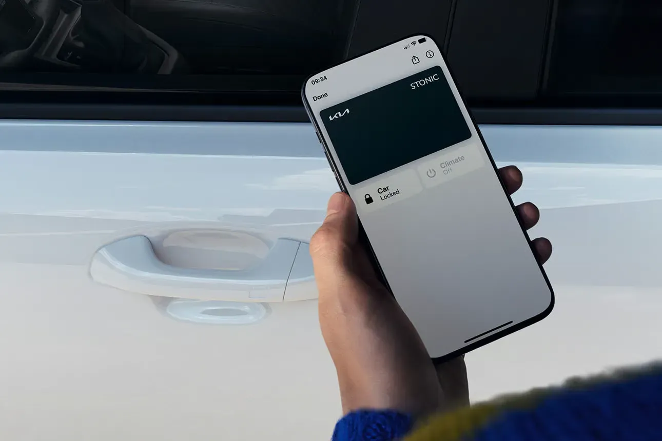 Ovládání Stonicu na dálku